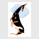 Спящий доберман