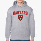 Толстовка худи Harvard