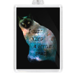 Котик космический