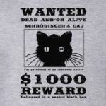 Кот Шрёдингера