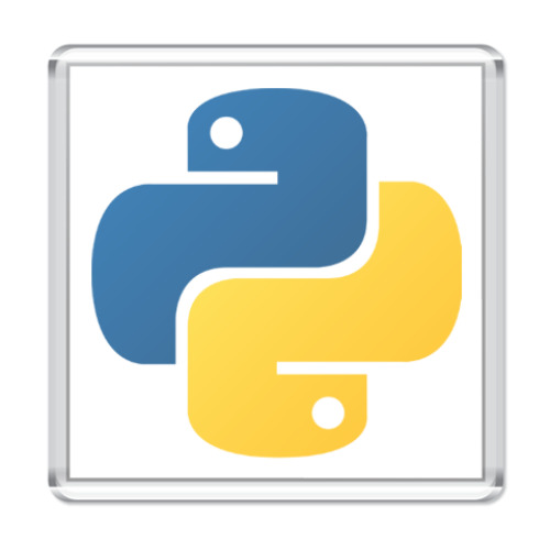 Магнит с принтом Python