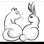 Кот и кролик