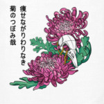 Хризантемы и череп