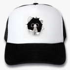 Кепки Trucker