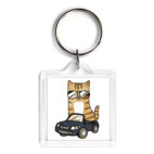 Крутой кот за рулём автомобиля