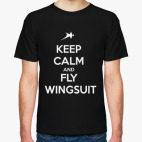 wingsuit skydiving прыжки парашют