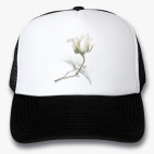 Кепки Trucker