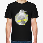 Чайка Стивен