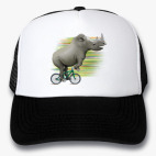 Кепки Trucker