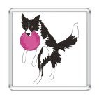 Магнит 6.5 x 6.5 см бордер колли