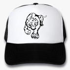Кепки Trucker