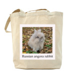 Russian angora rabbit
