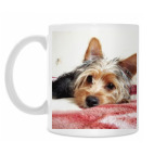 Кружка 330 мл