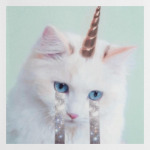 котик единорог