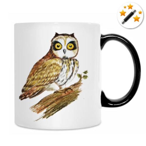 Кружка-хамелеон с принтом Совушка