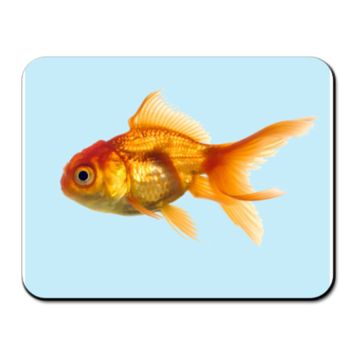 Коврик для мыши с принтом  'Рыбка'