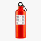 Металлическая бутылка 700 мл UV-DTF