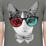 Кот в очках