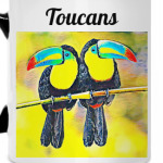 Туканы