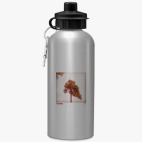 Спортивная бутылка