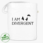 Я - дивергент