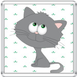   Space cat