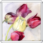  Тюльпаны