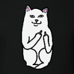 Кот показывающий фак