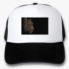 Кепки Trucker