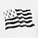 Бретонский флаг