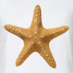 Морская звезда