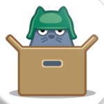 Кот в коробке