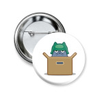 Кот в коробке