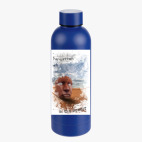 Термобутылка