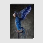 'Синяя птица'