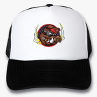 Кепки Trucker