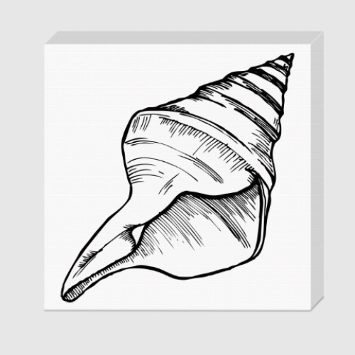 Холст с принтом морская раковина