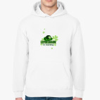 Толстовка худи