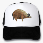 Кепки Trucker