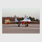 МиГ-29 'Стрижи'