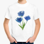 Василек полевой