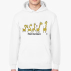 Толстовка худи