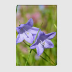 Холст 30 х 45 см Колокольчики