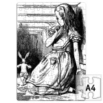 За Белым Кроликом