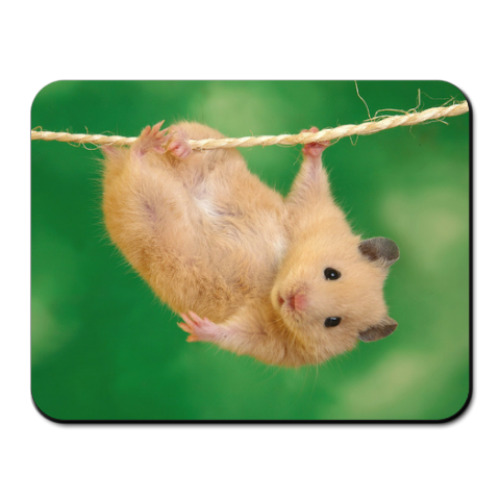 Коврик для мыши с принтом Хомяк