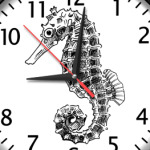 Морской Конек