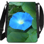 'Синяя звезда'