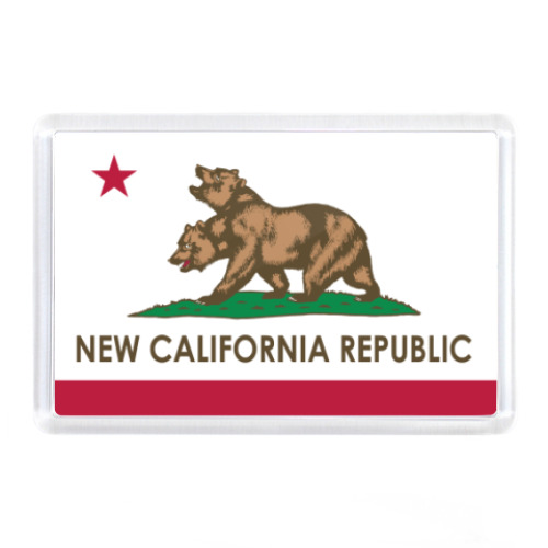 Магнит с принтом NCR