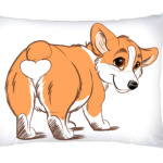 corgi butt