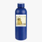 Термобутылка